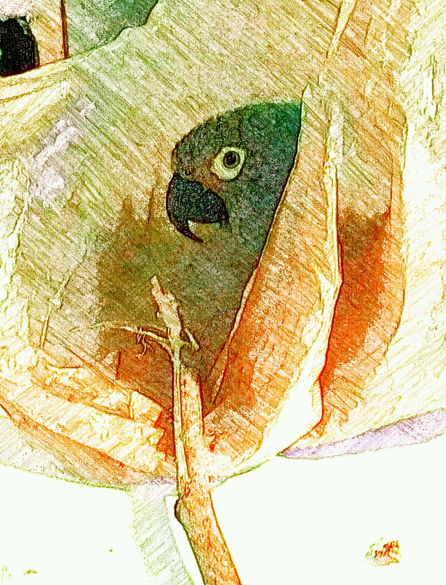 SketchGuru_20170602193222.jpg